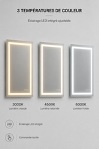 Miroir LED Maquillage Double Éclairage Anti-Buée IP44