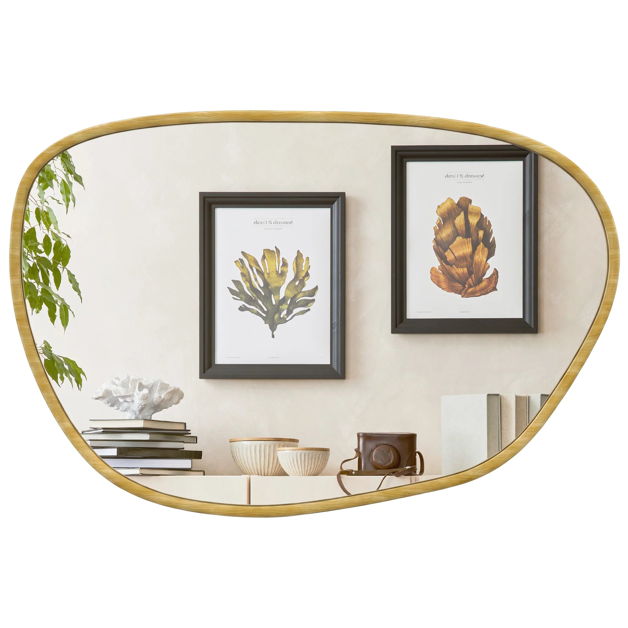 Miroir mural organique asymétrique